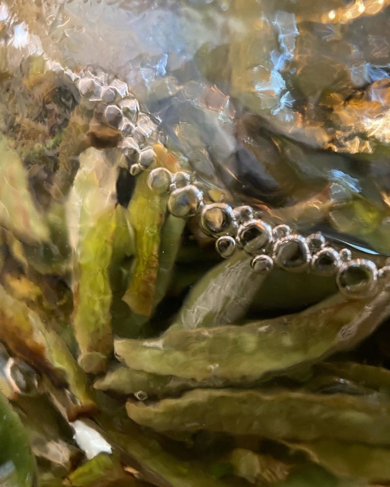 Чайная высота. Дом чая и мороженого
